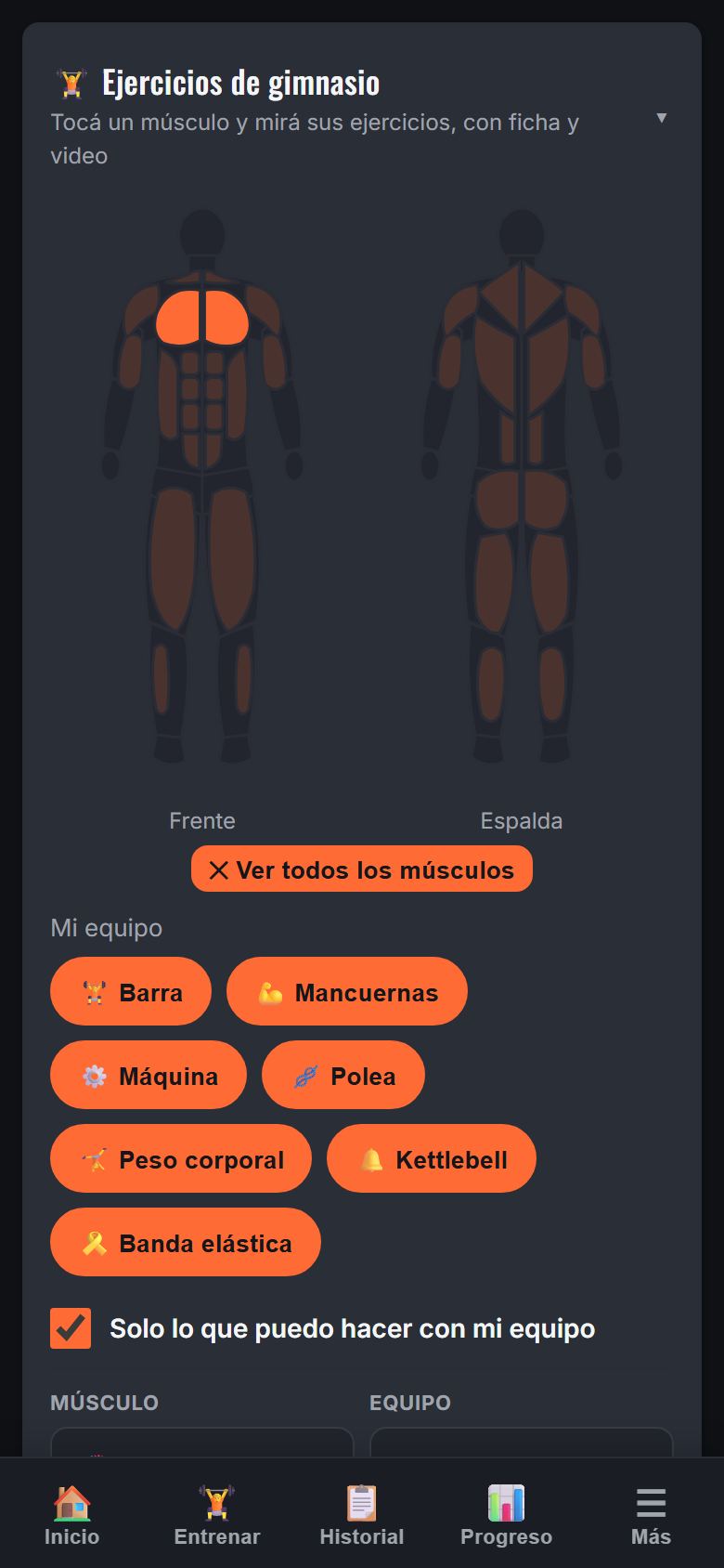 Ejercicios de gimnasio: tocar un músculo en la figura